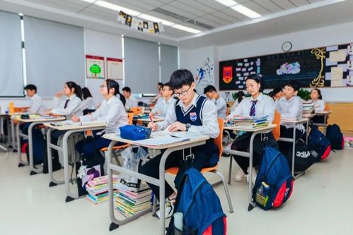 小班教學,豐厚獎學金 本周六,這所學校開啟小學初中入學咨詢會