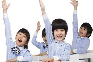 晨樹教育加盟優(yōu)勢